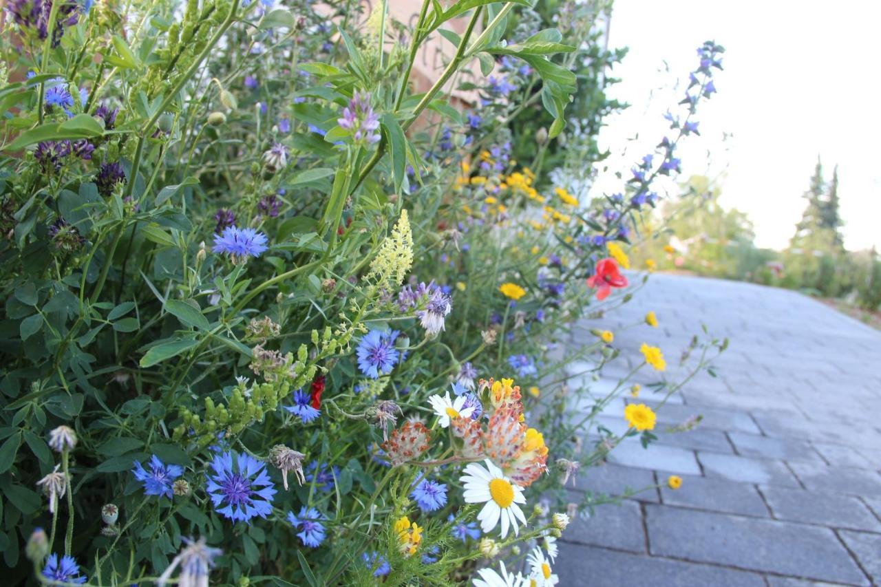 Ferienwohnungen Blumenwiese Dillingen an der Donau Exterior foto