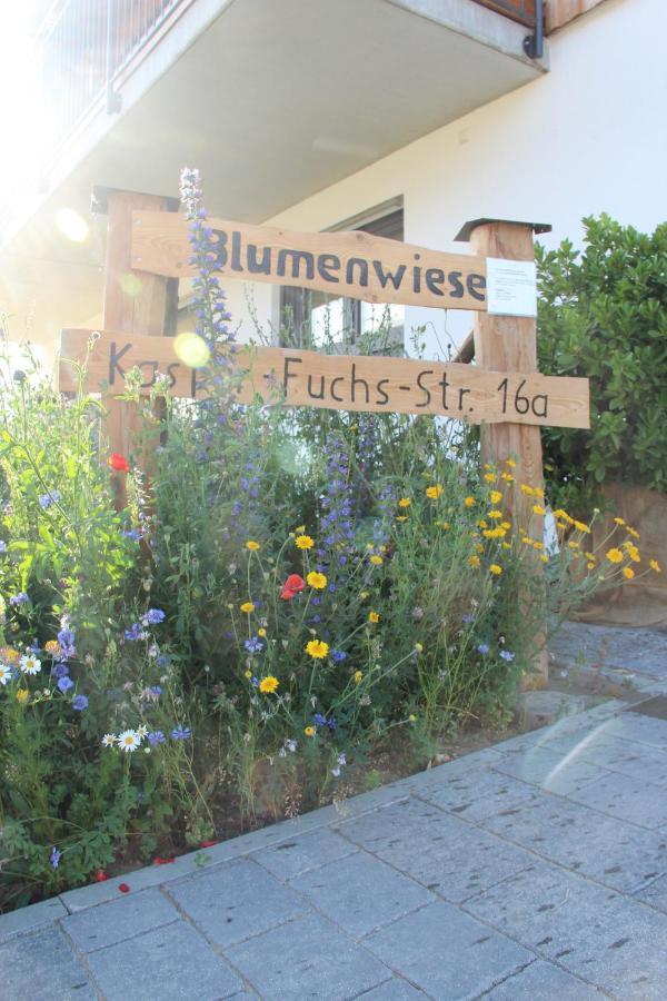 Ferienwohnungen Blumenwiese Dillingen an der Donau Exterior foto